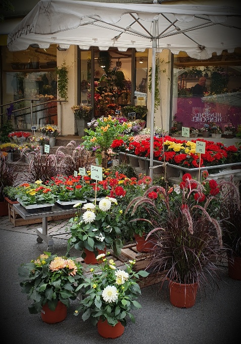 FLORALES am markt