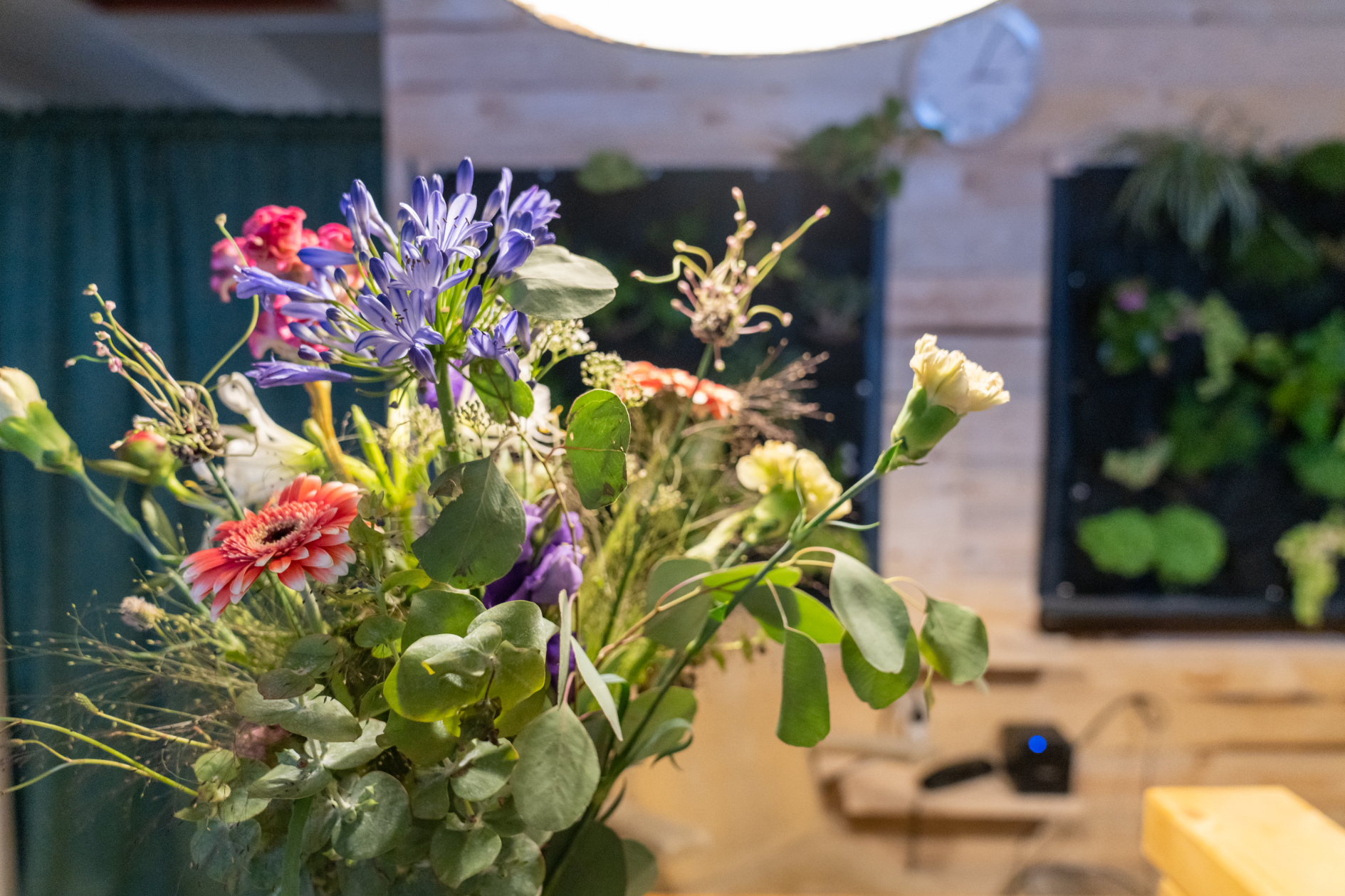 The Herbalist Krefeld CBD