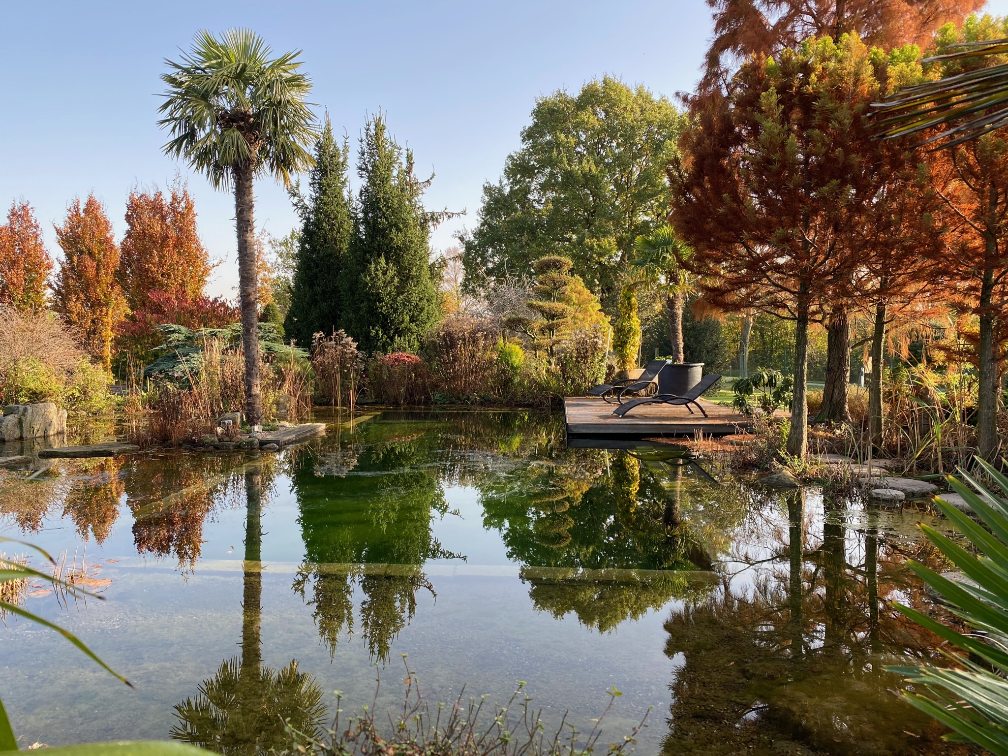 Baumschulgarten Enneking