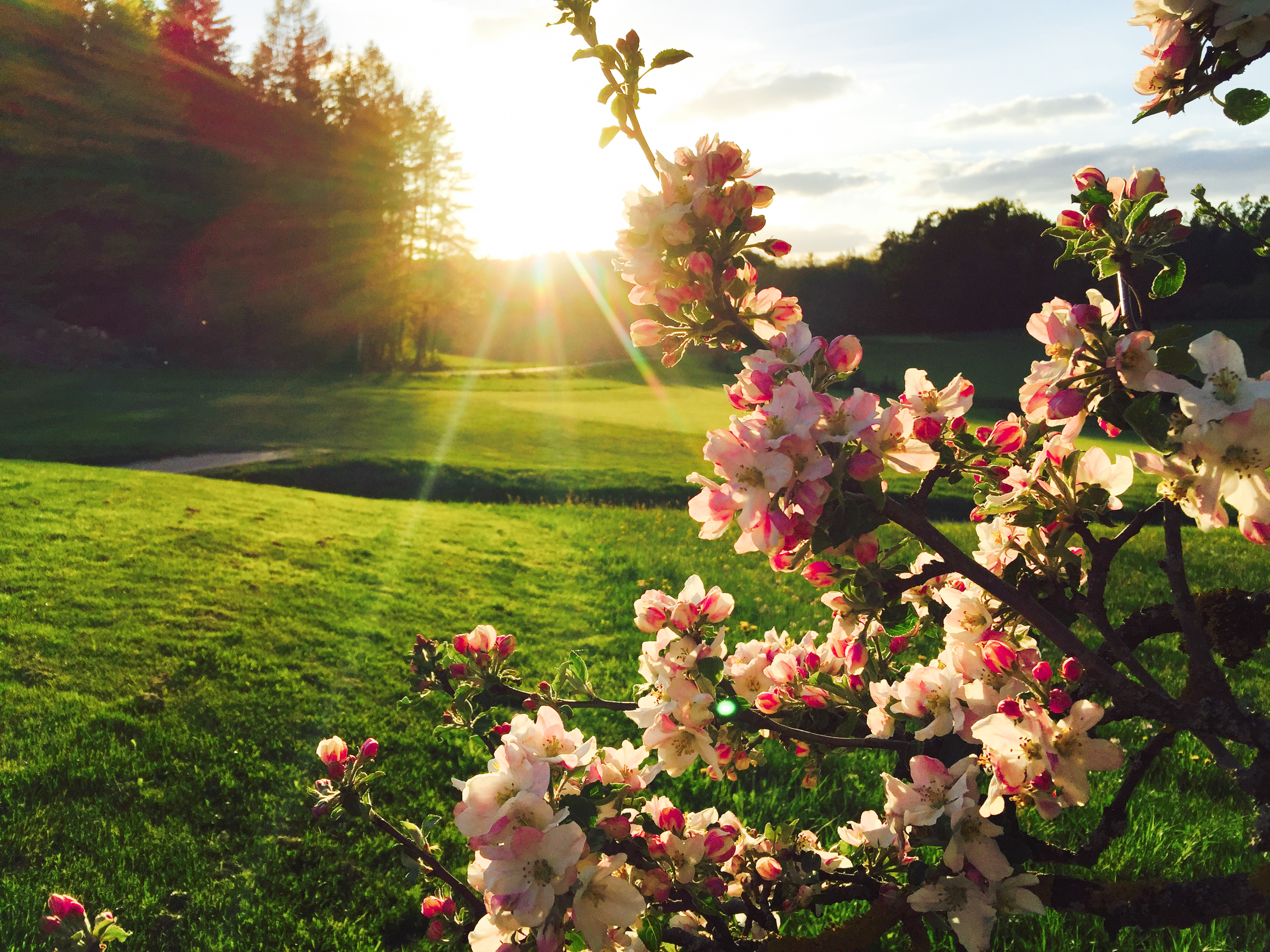 Golfclub Gerhelm Nürnberger Land e. V.