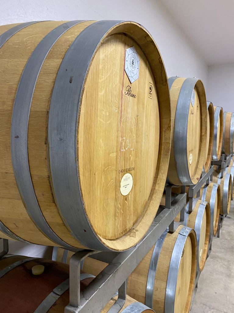 REGIO WEINE CGT Schätz