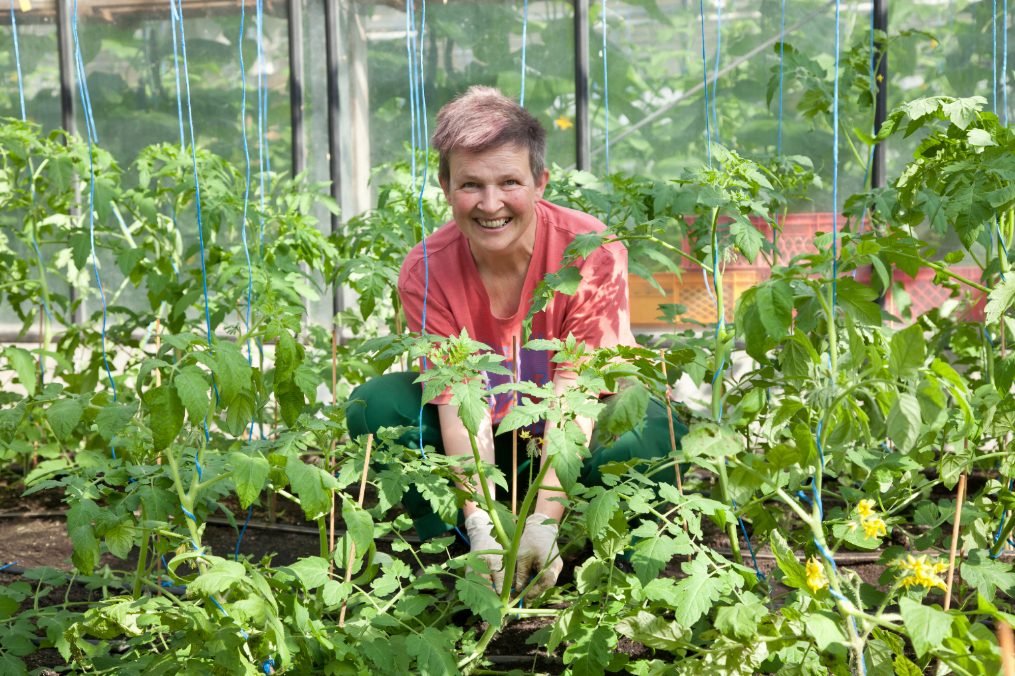 Elbaue-Werkstätten gGmbH