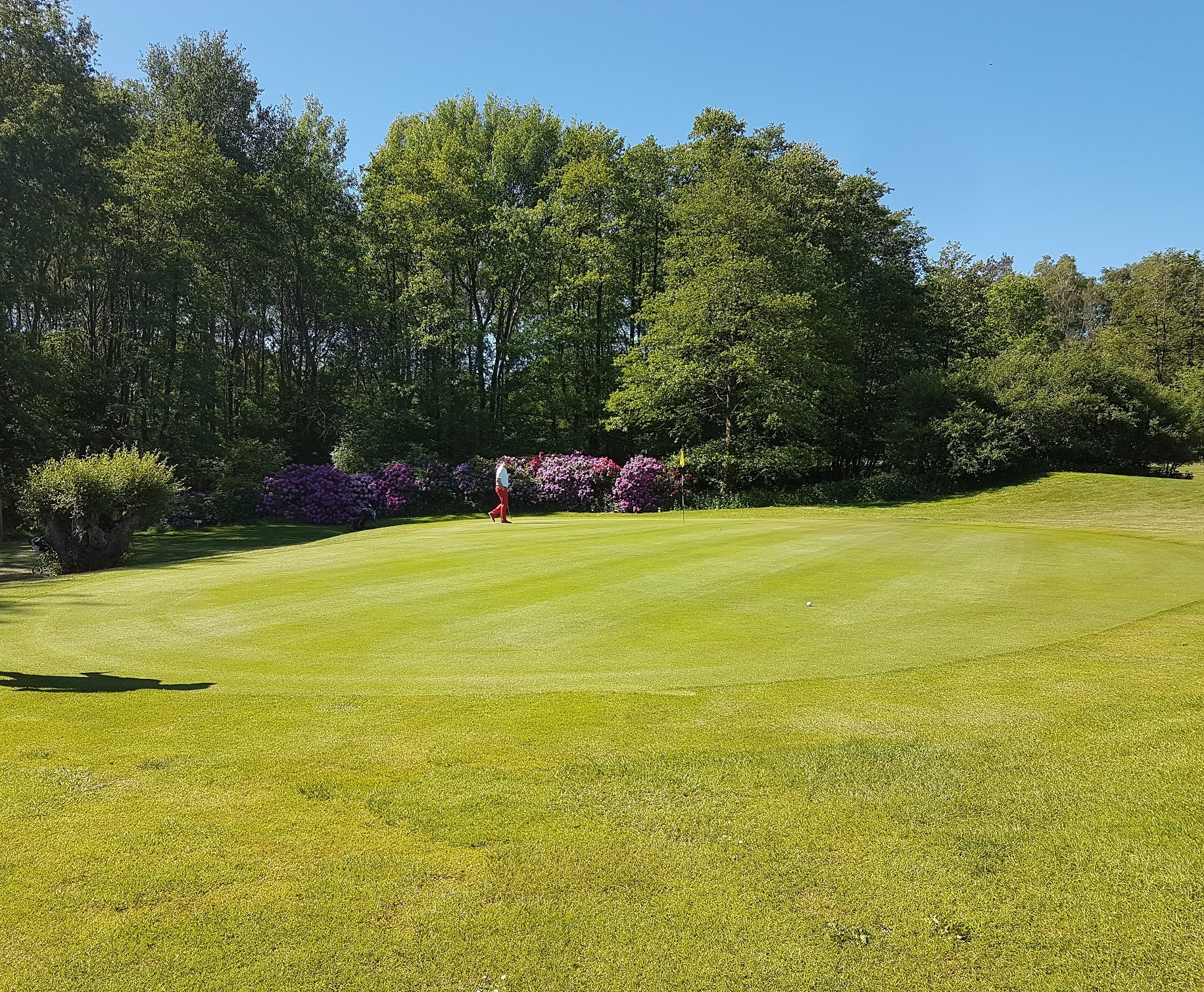 Golfclub Habichtswald