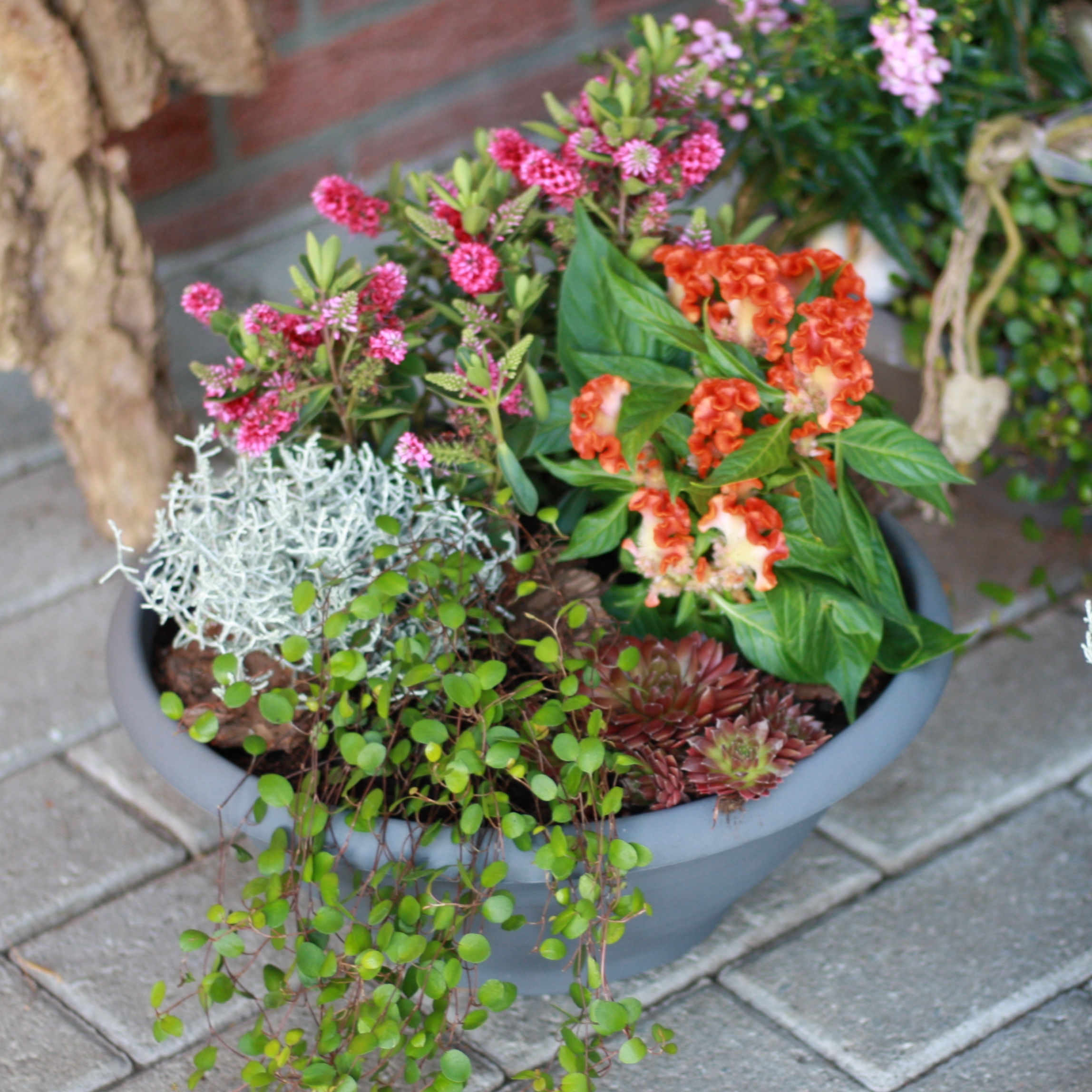 Blumenladen am Friedhof