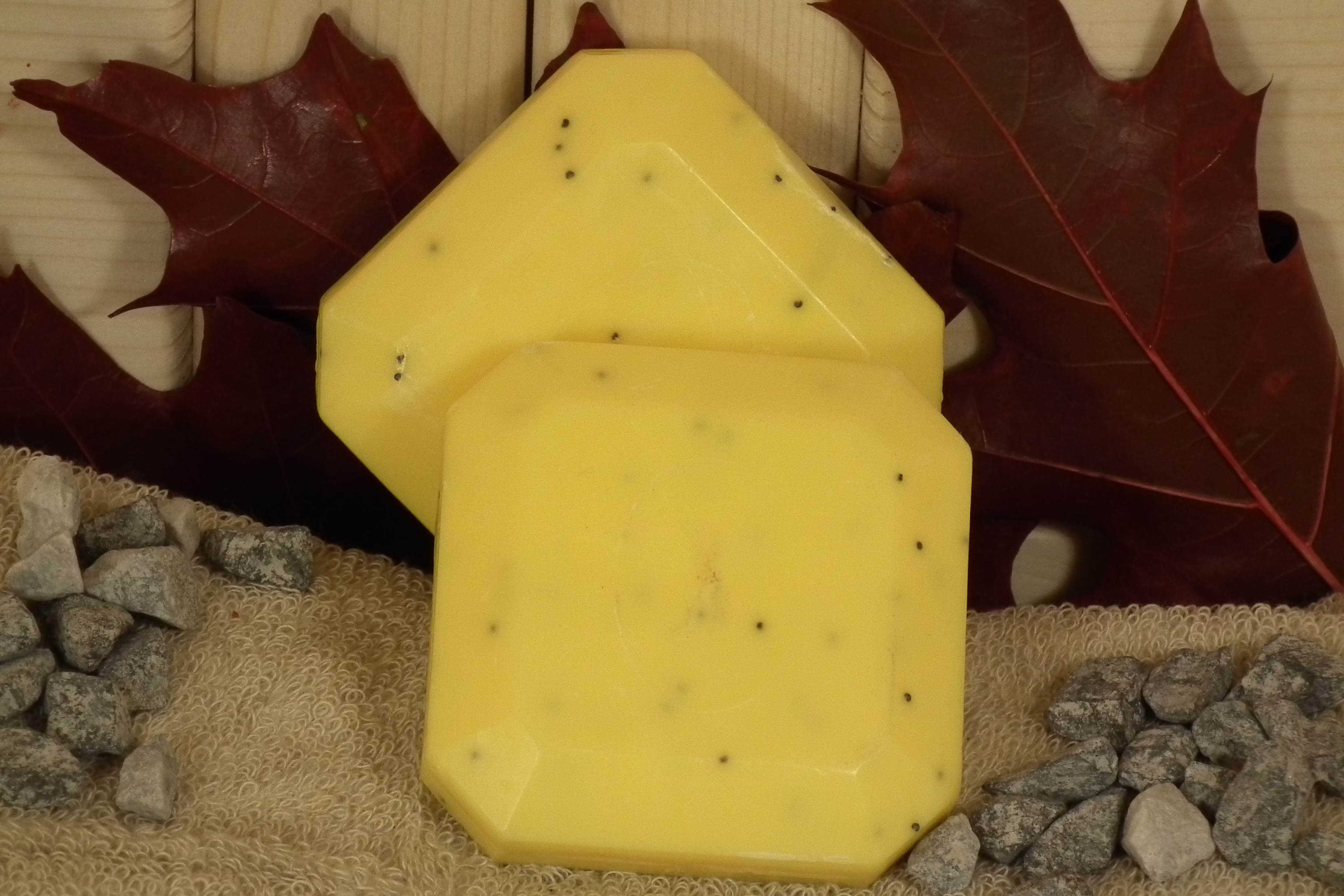 pool-kuschel " Seifenwelt"