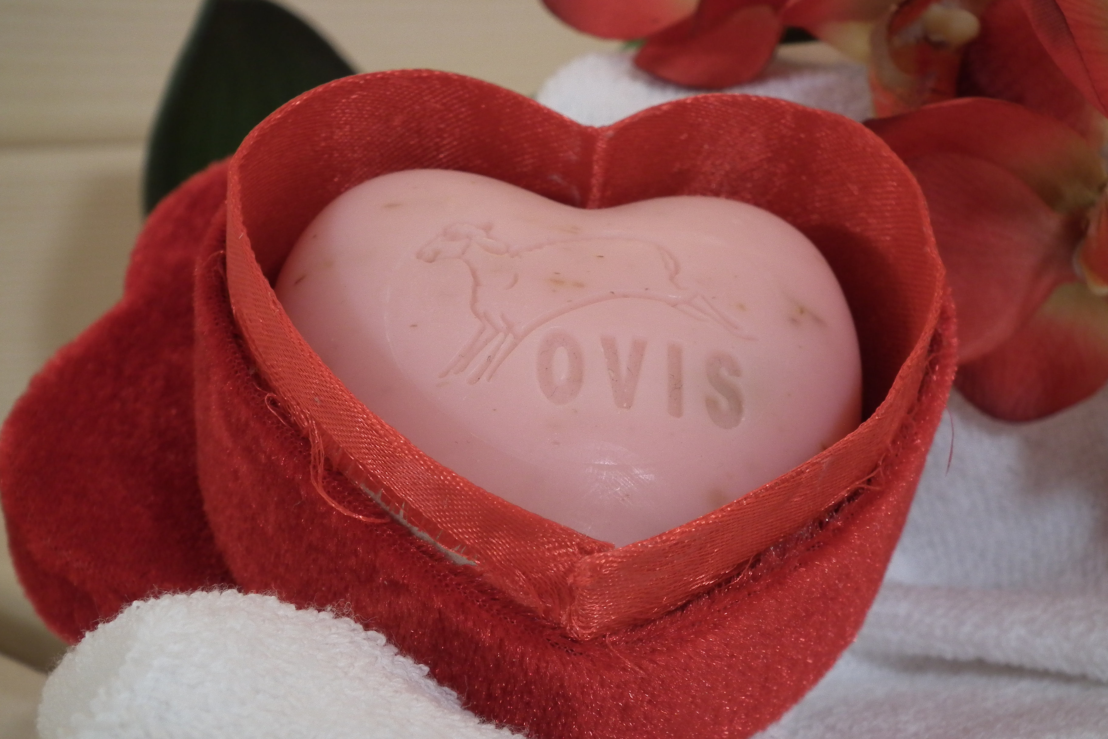 pool-kuschel " Seifenwelt"