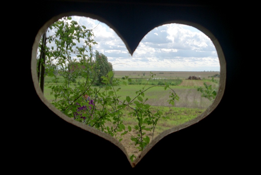 Bibernelle Bio-Laden & Lieferdienst