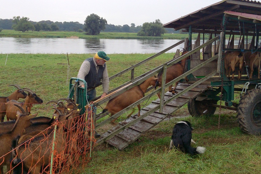 Bibernelle Bio-Laden & Lieferdienst