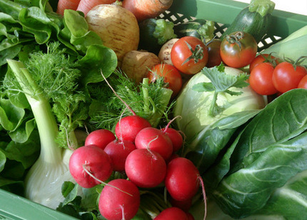 Bibernelle Bio-Laden & Lieferdienst