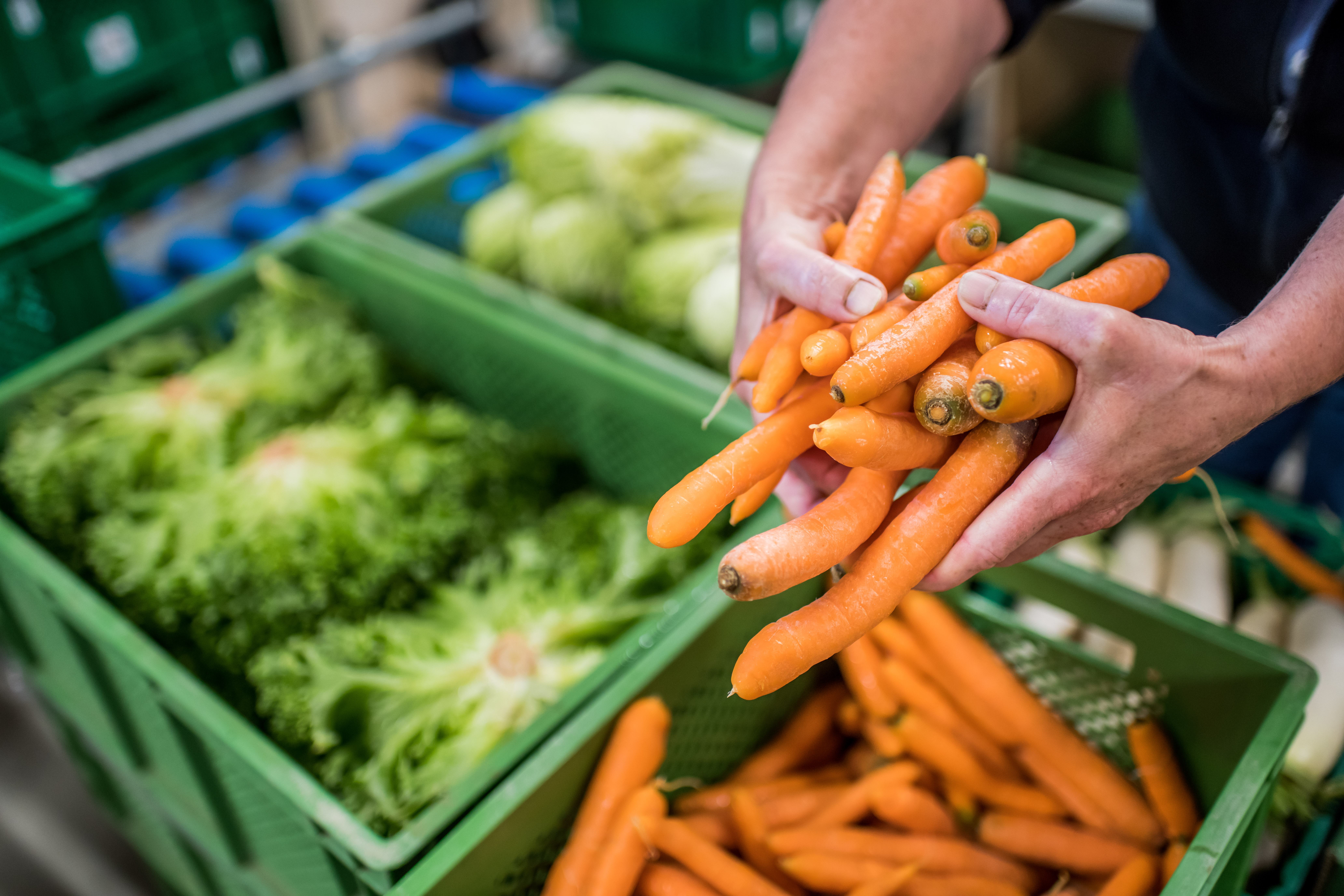 Bibernelle Bio-Laden & Lieferdienst