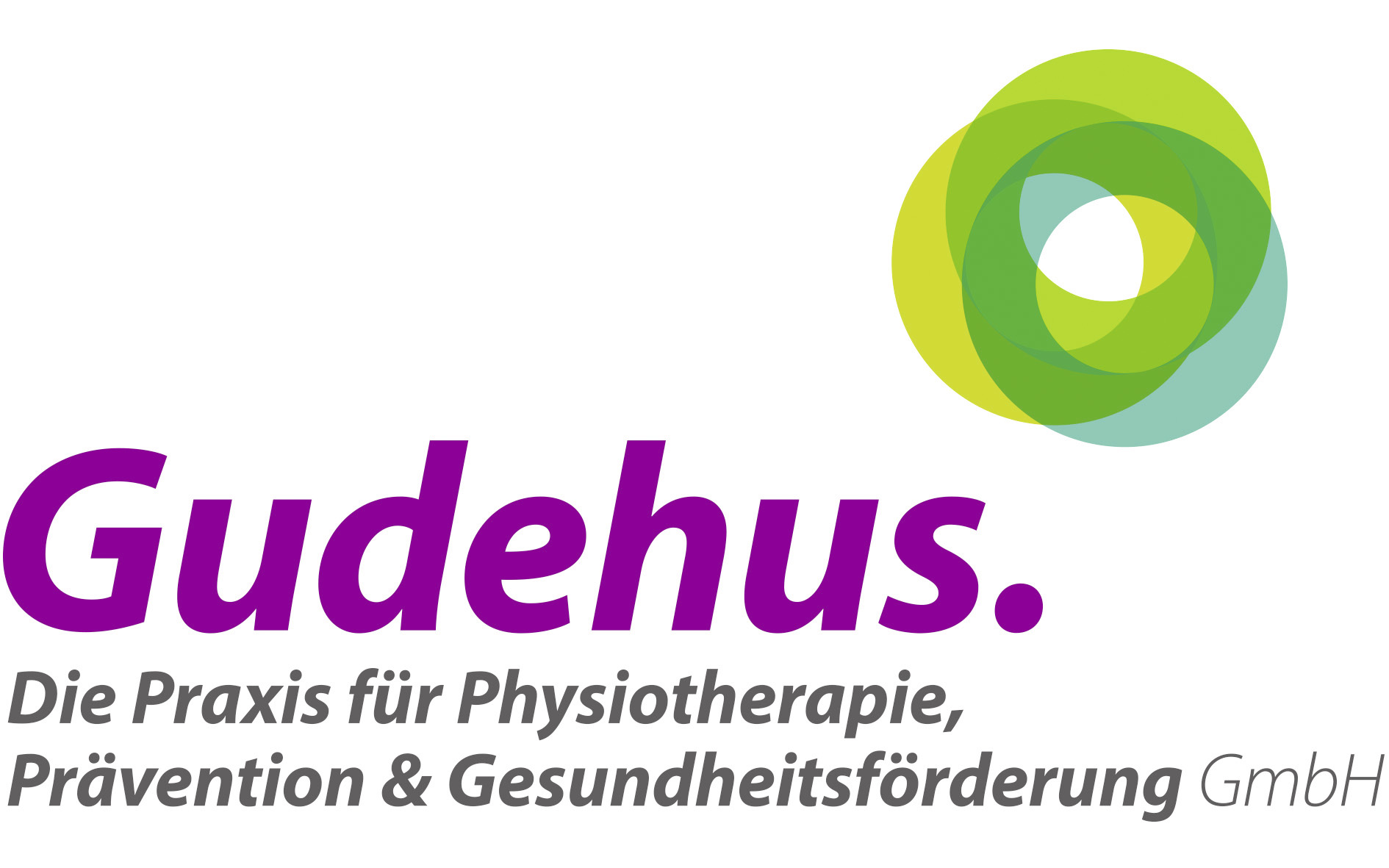 Gudehus. Die Praxis für Physiotherapie, Prävention & Gesundheitsförderung