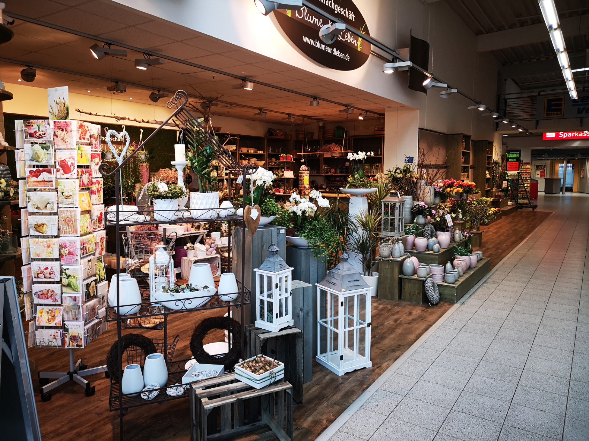 Blume & Leben (im Edeka)