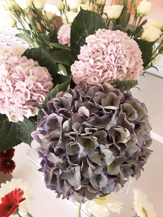 Blumen-Bache title image