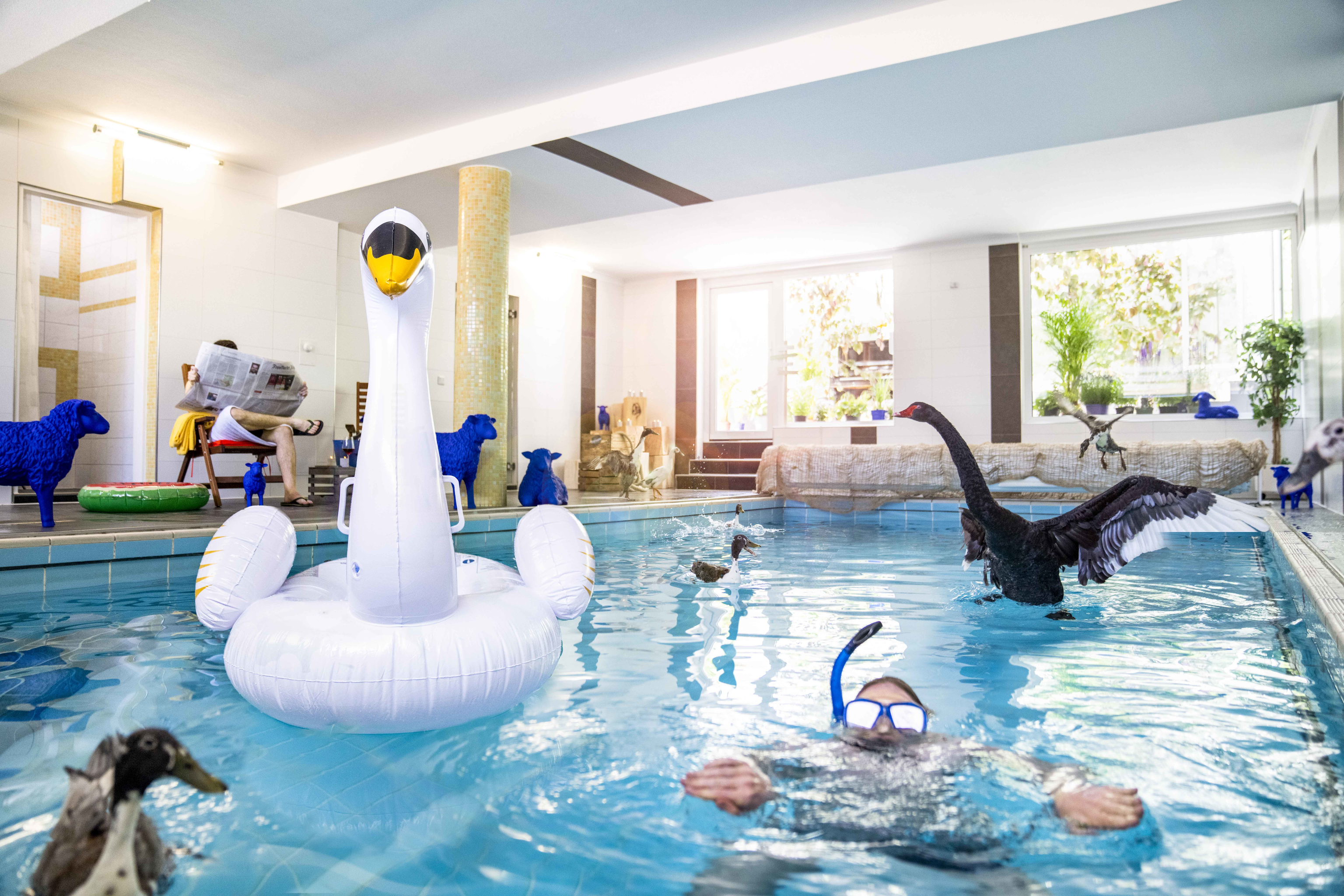 Gartenhotel FETTEHENNE