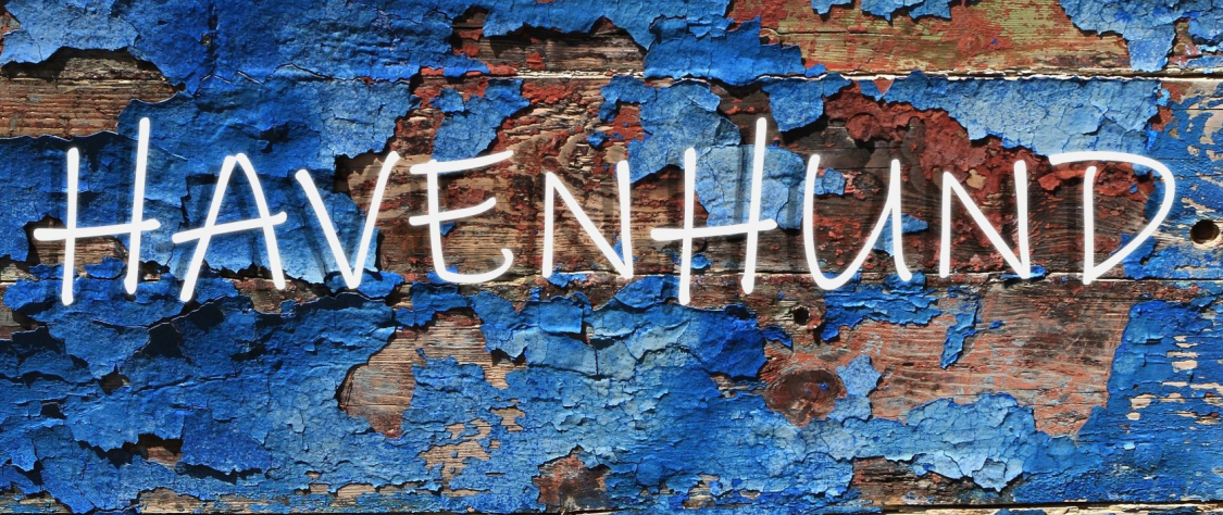 Havenhund title image