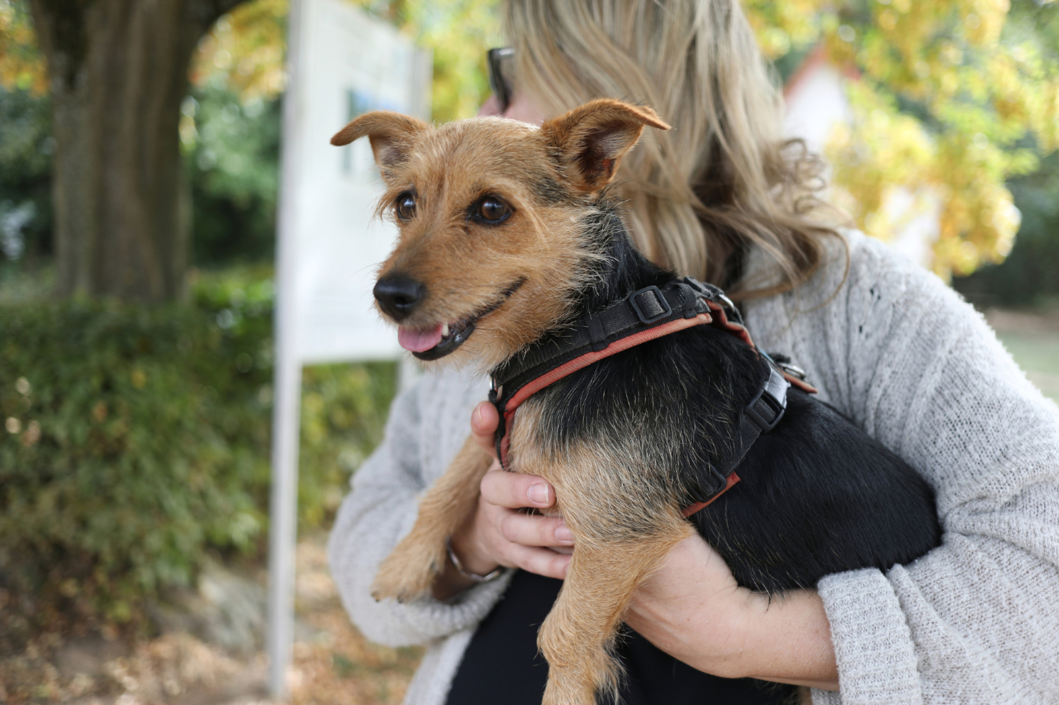 Nancy Delmotte - Hundetraining