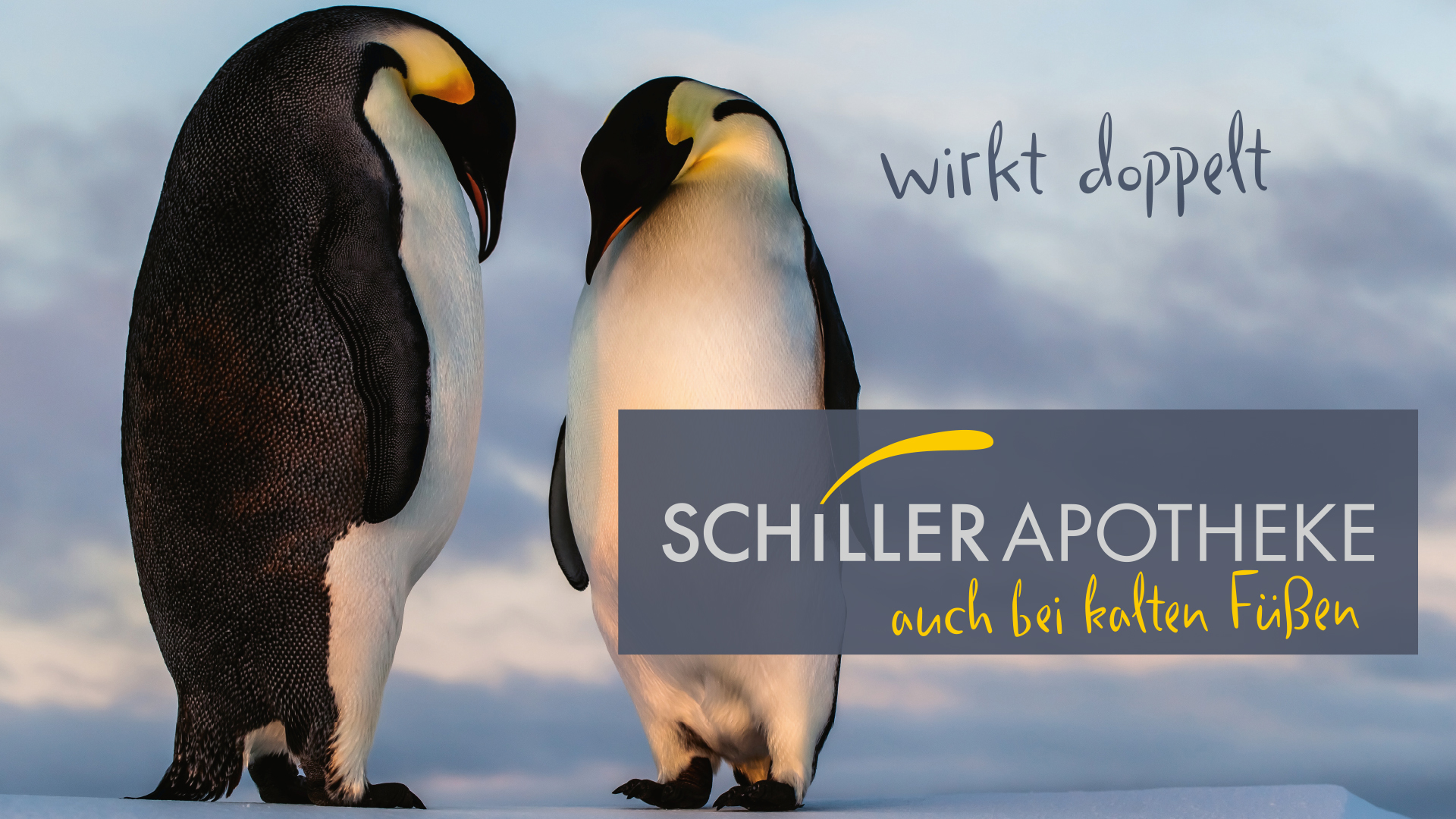 Schiller Apotheke im Kaufland