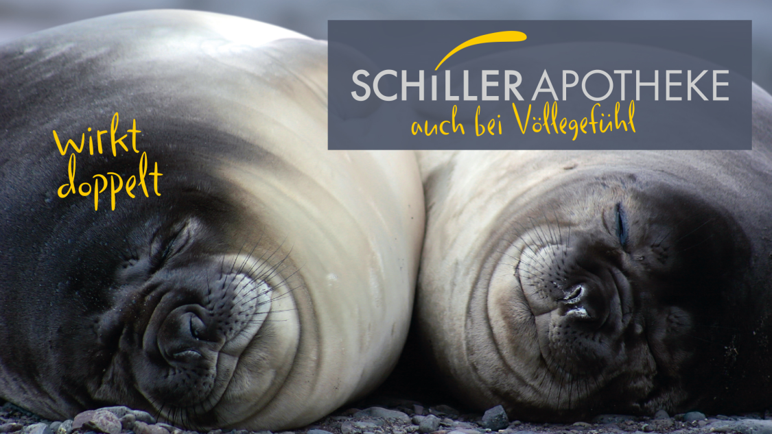 Schiller Apotheke title image