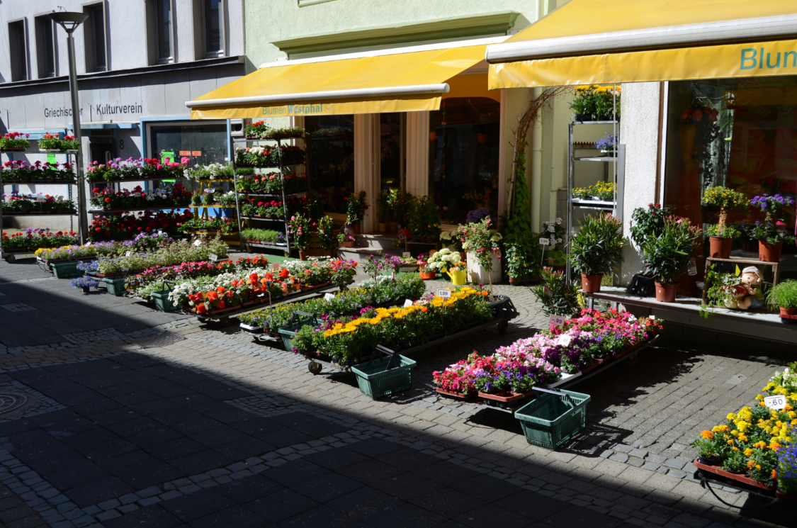Blumen Westphal title image