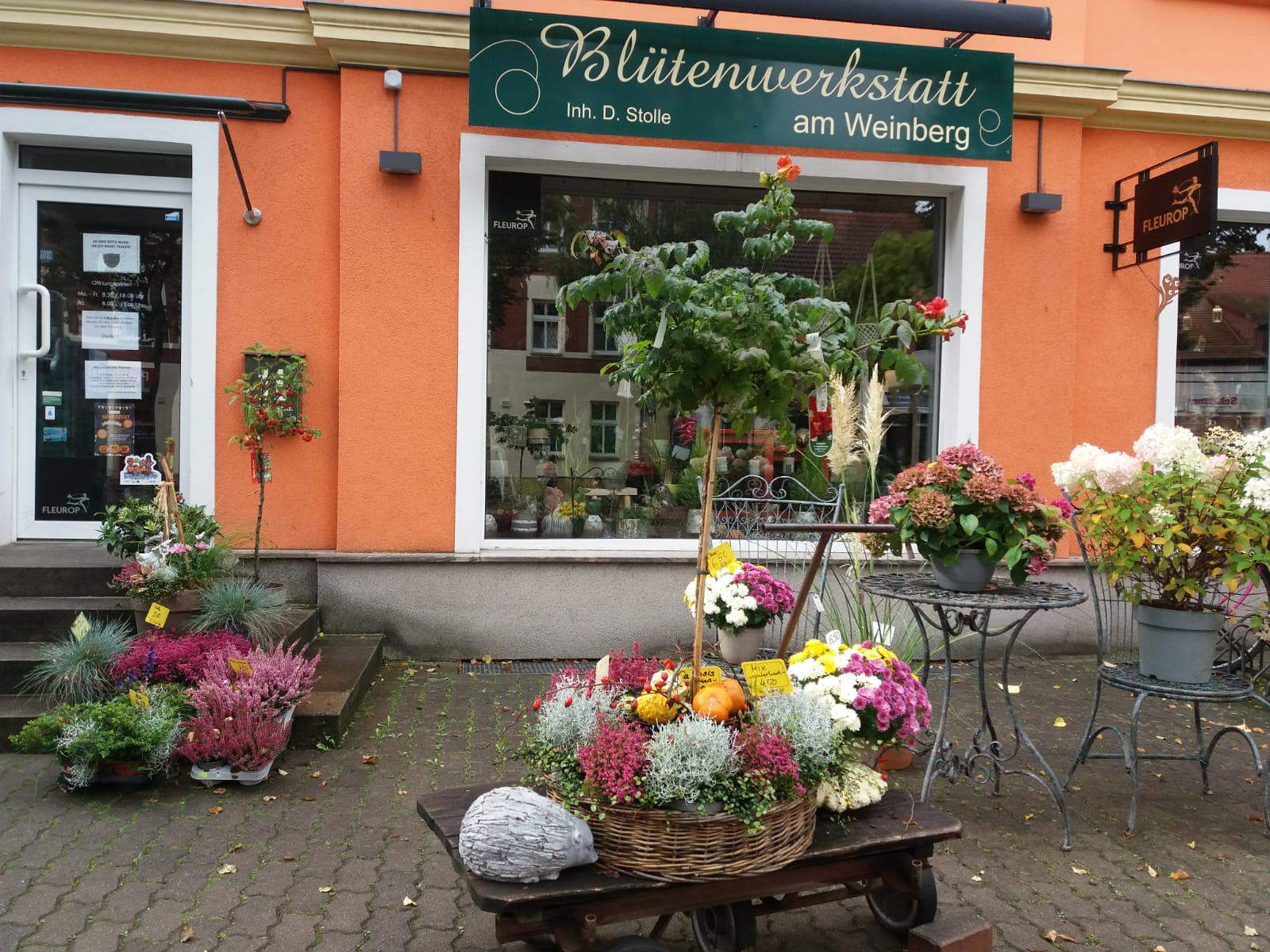 Blütenwerkstatt am Weinberg