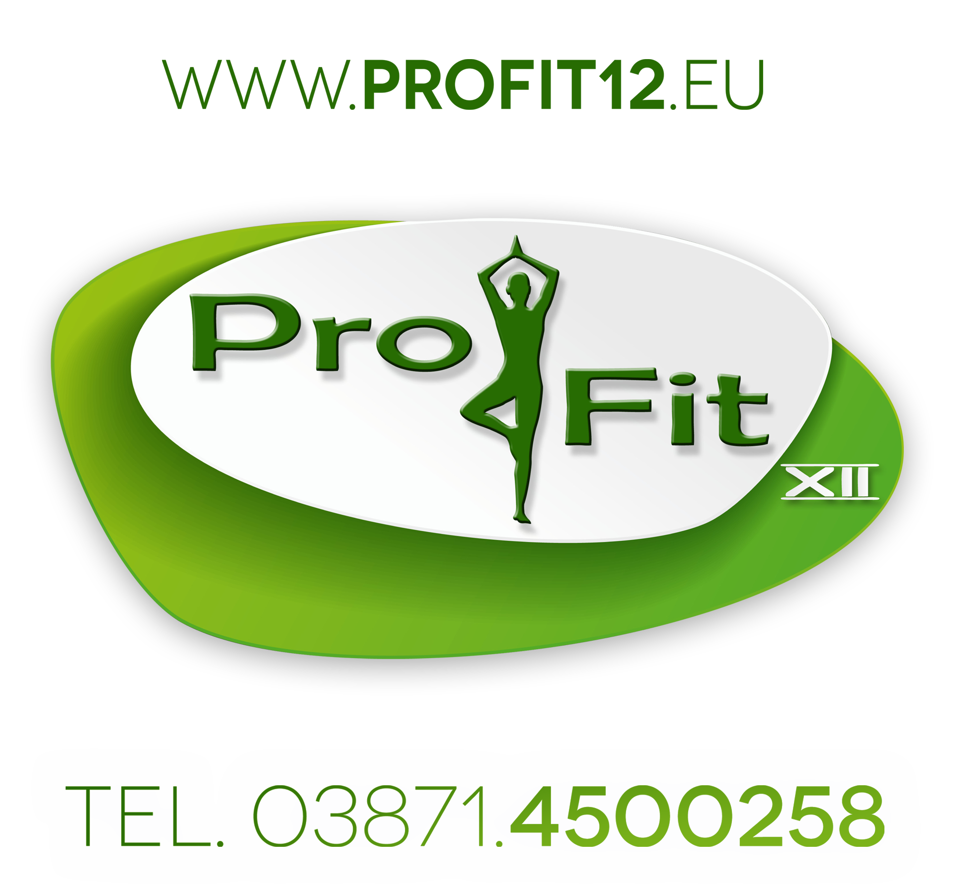 Pro Fit 12