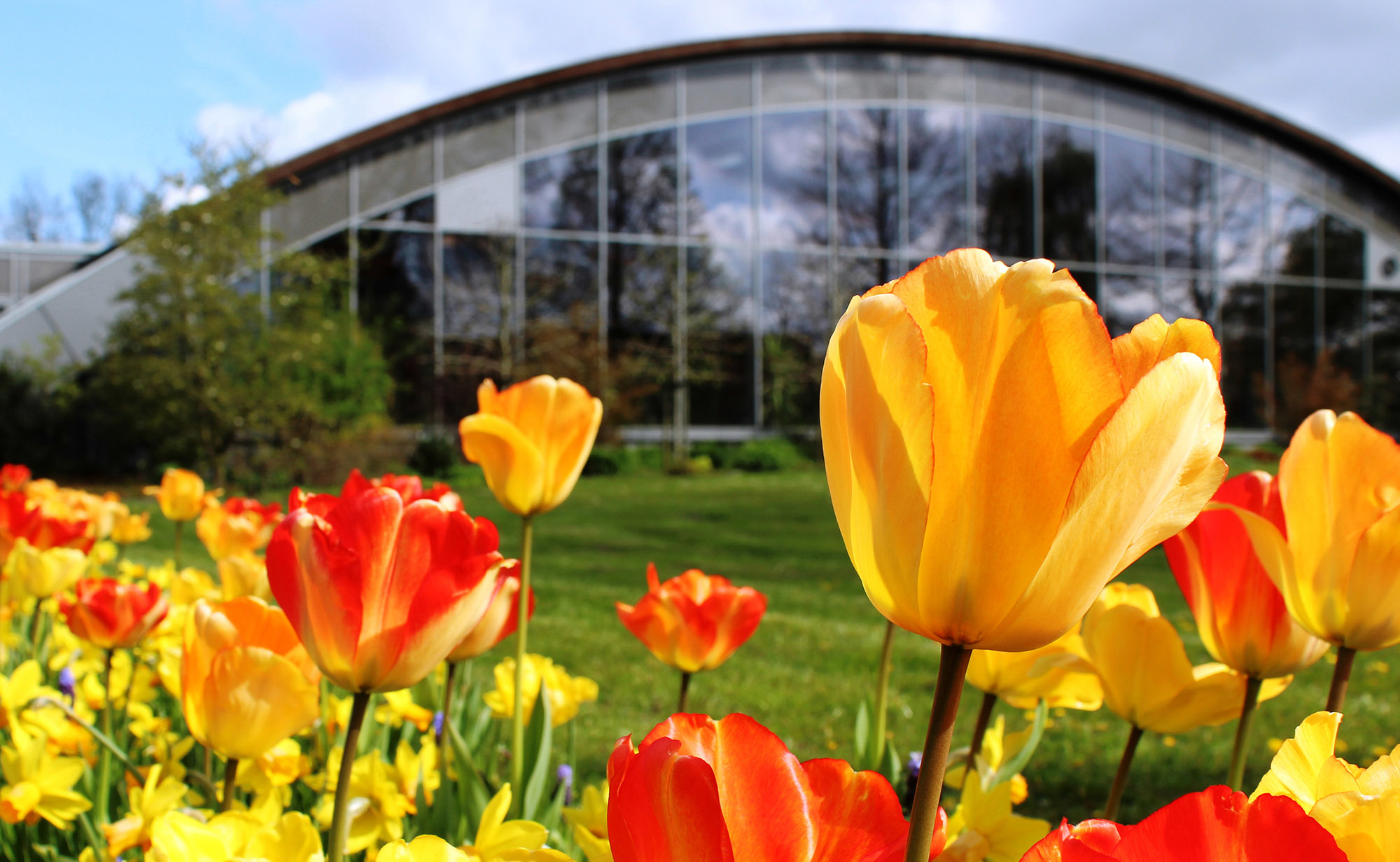 "Blumenreich" Blumenhalle & Gartenpark Wiesmoor