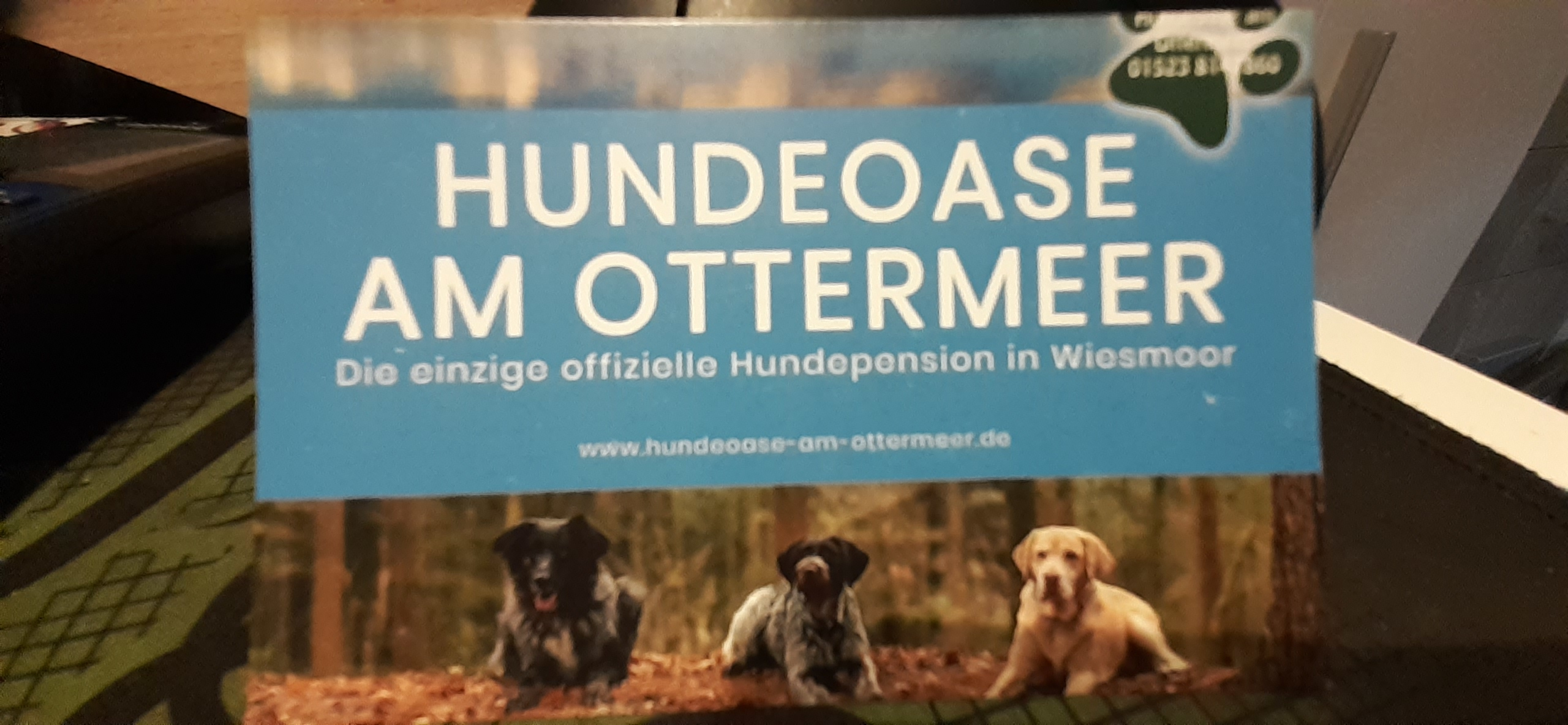 Hundeoase am Ottermeer