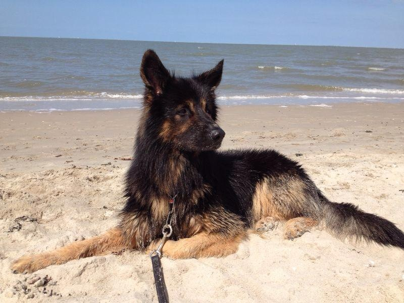 ARAS Frischdienst Oliver Gätgens