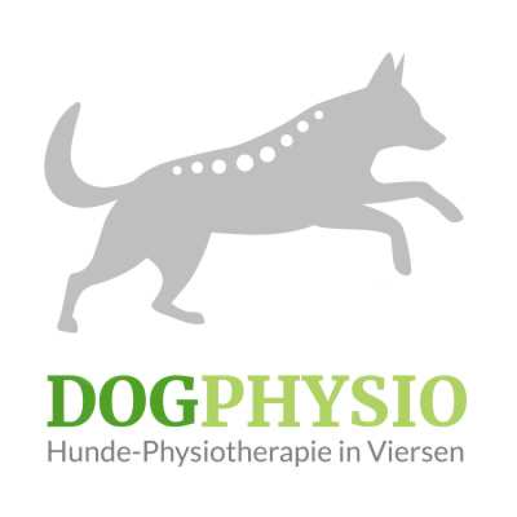 DogPhysio-Viersen title image