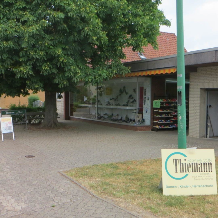 Schuh-Thiemann title image
