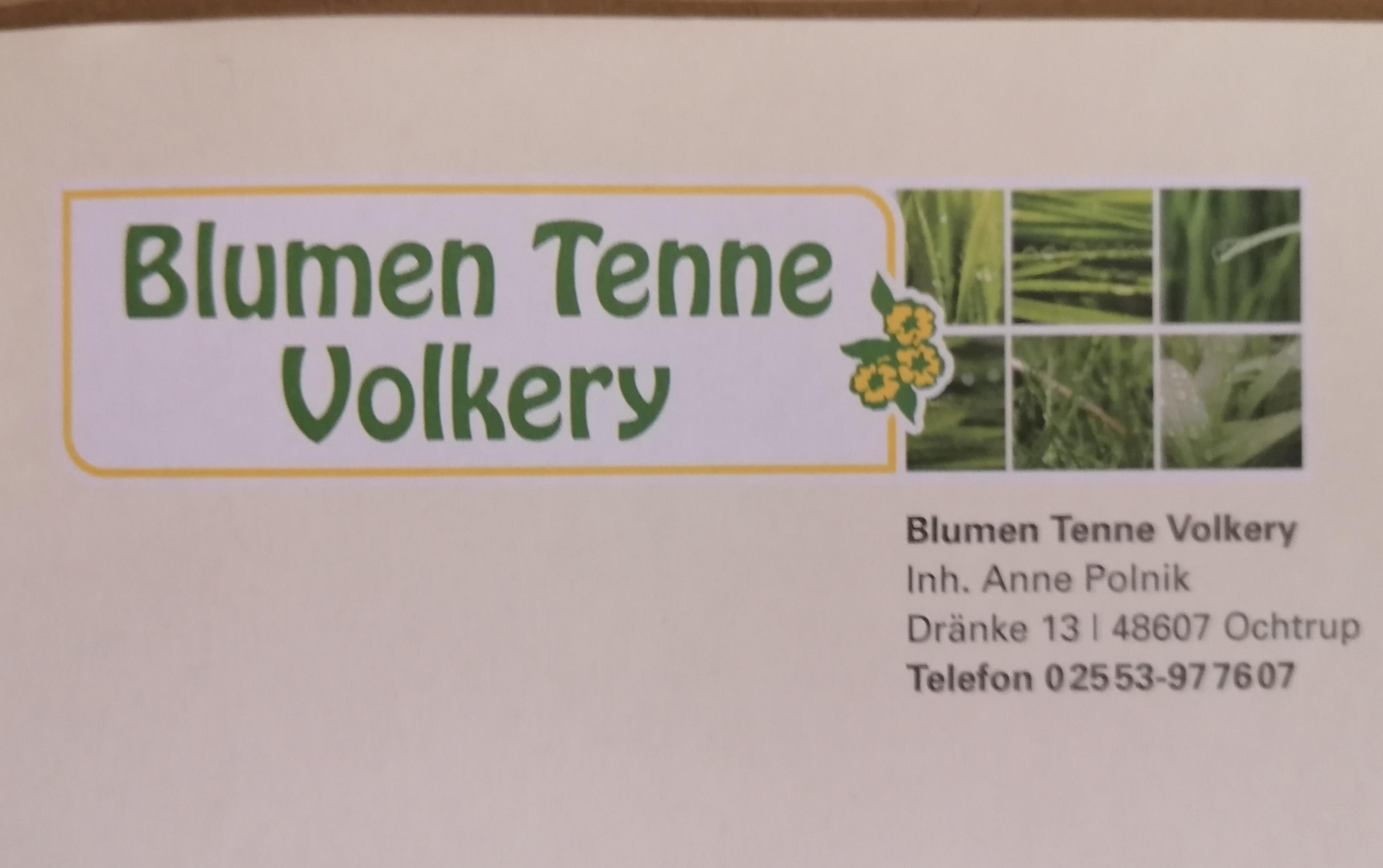 Blumen Tenne Volkery