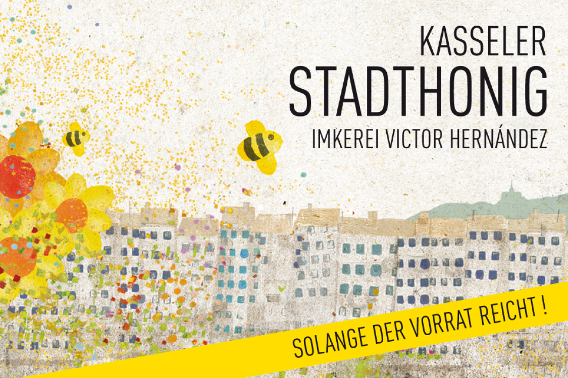 KASSELER STADTHONIG title image