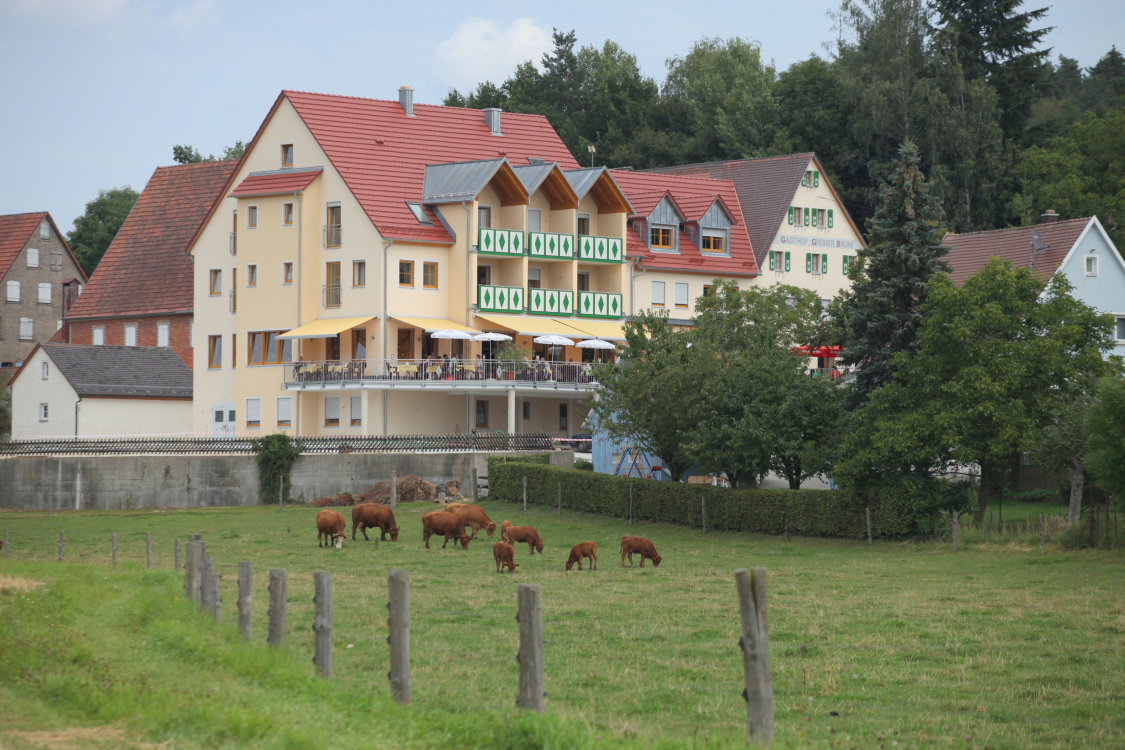 Landhotel Grüner Baum title image