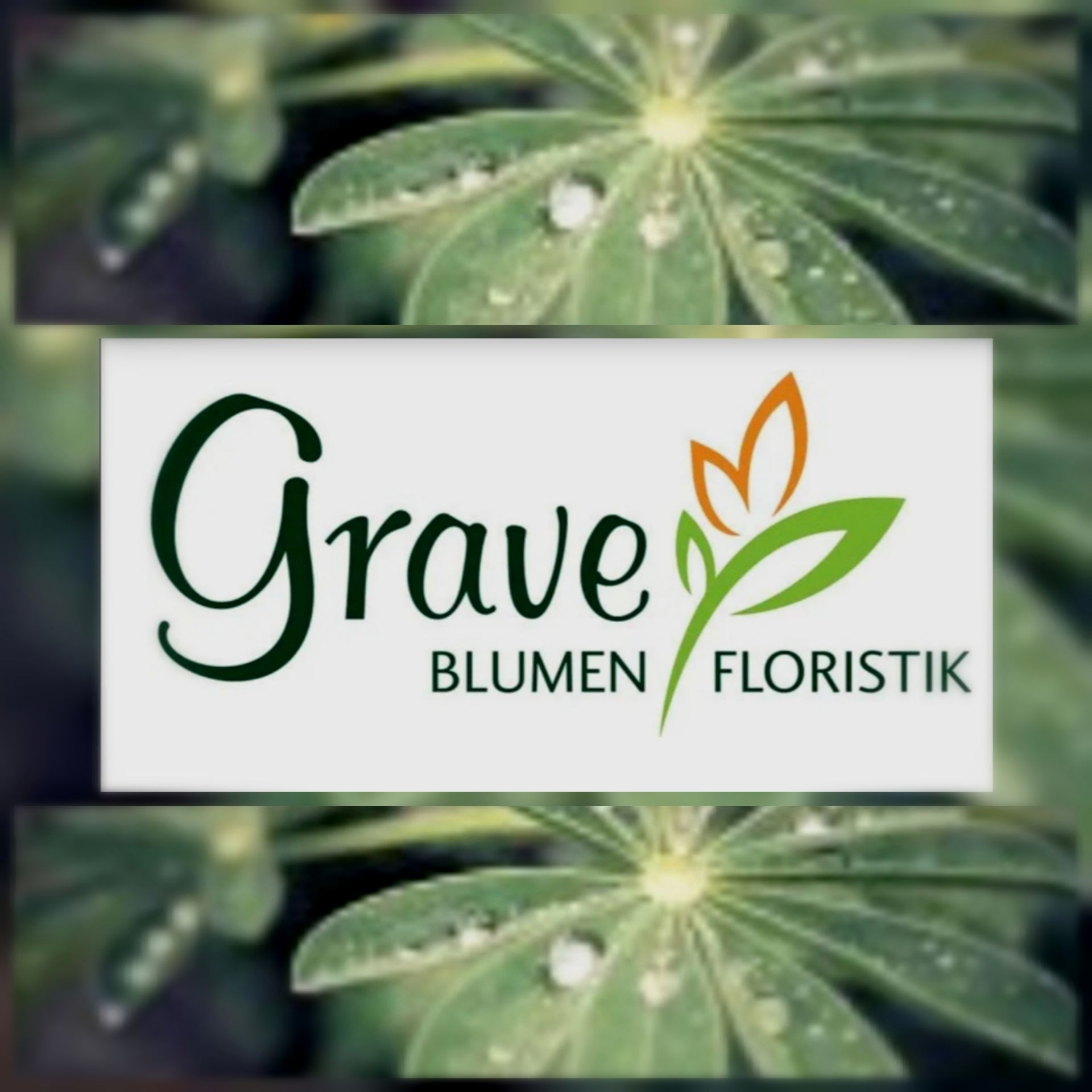 Blumen und Floristik Grave