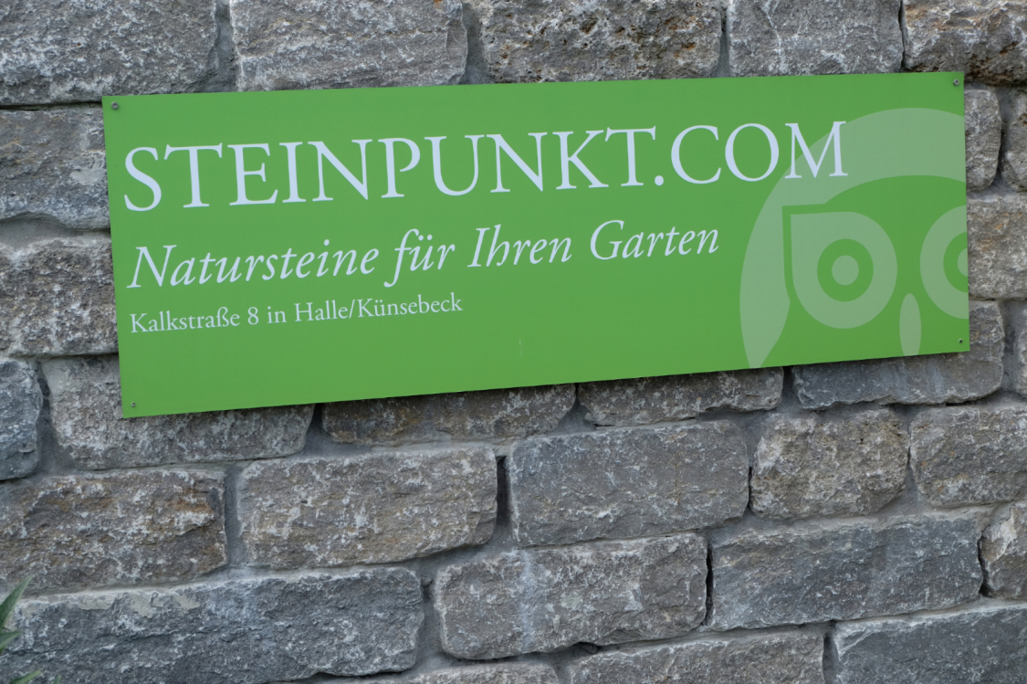 Steinpunkt title image