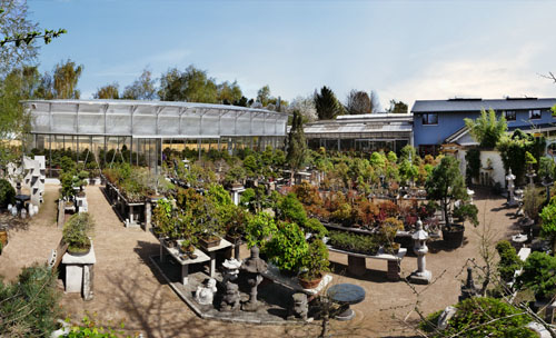 Bonsai-Zentrum Münsterland
