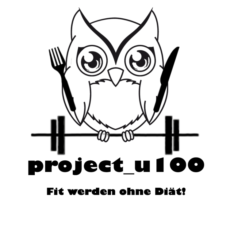 project-u100 title image