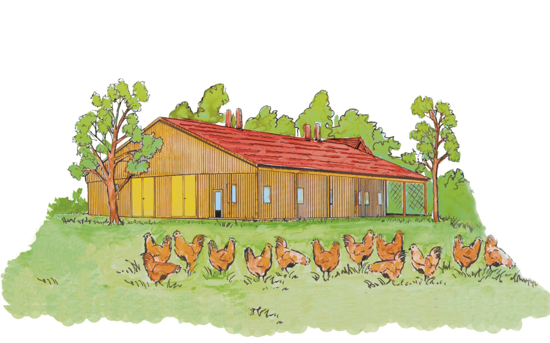 Öko-Geflügelhof Winkelmann