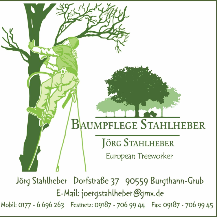 Baumpflege Stahlheber title image