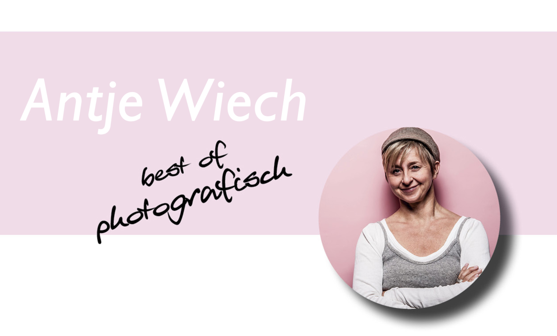 Antje Wiech - Best of photografisch title image