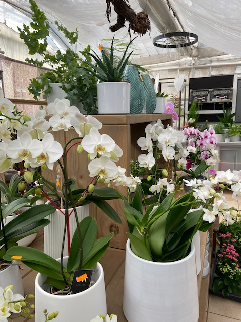 Blumenmanufaktur Kannenberg