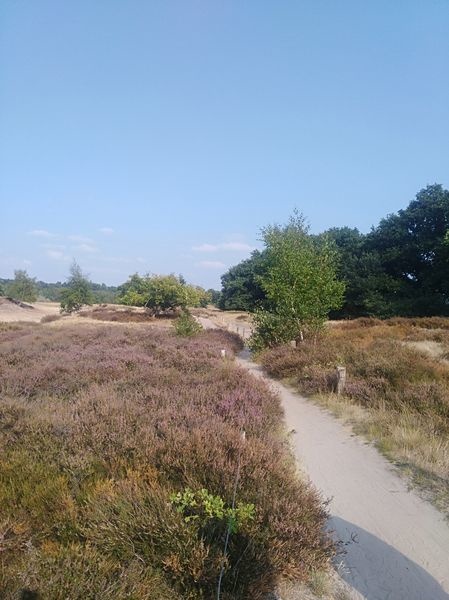 Blitz-naturerlebnis /Holger Bublitz