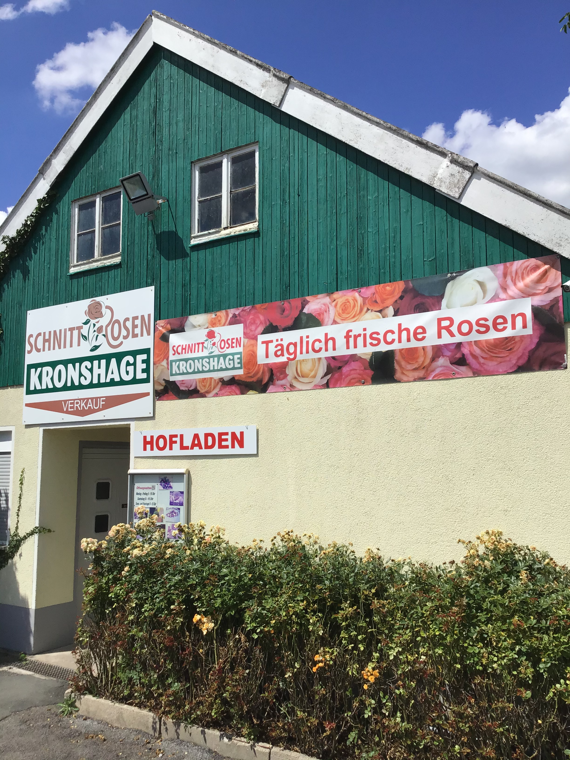 Schnittrosen Kronshage