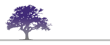 Trauerbegleitung Andrea Schricker