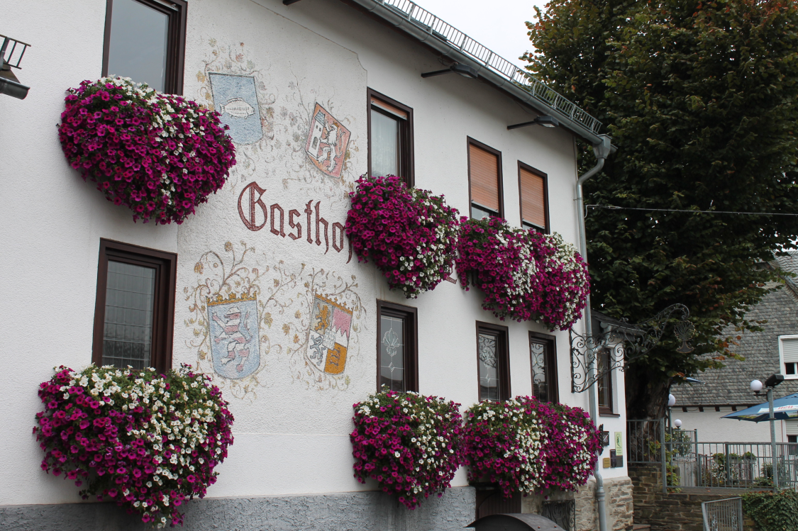 Landgasthof Hotel zur Linde title image