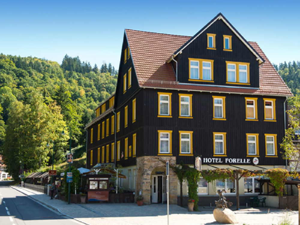 Greenline Ferienhotel Forelle title image