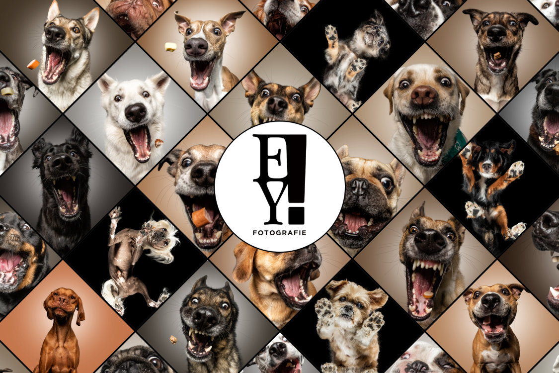 EY! Fotografie title image