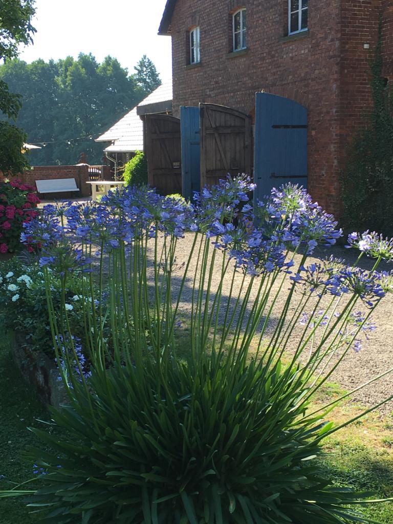 Hofgarten am Kloster