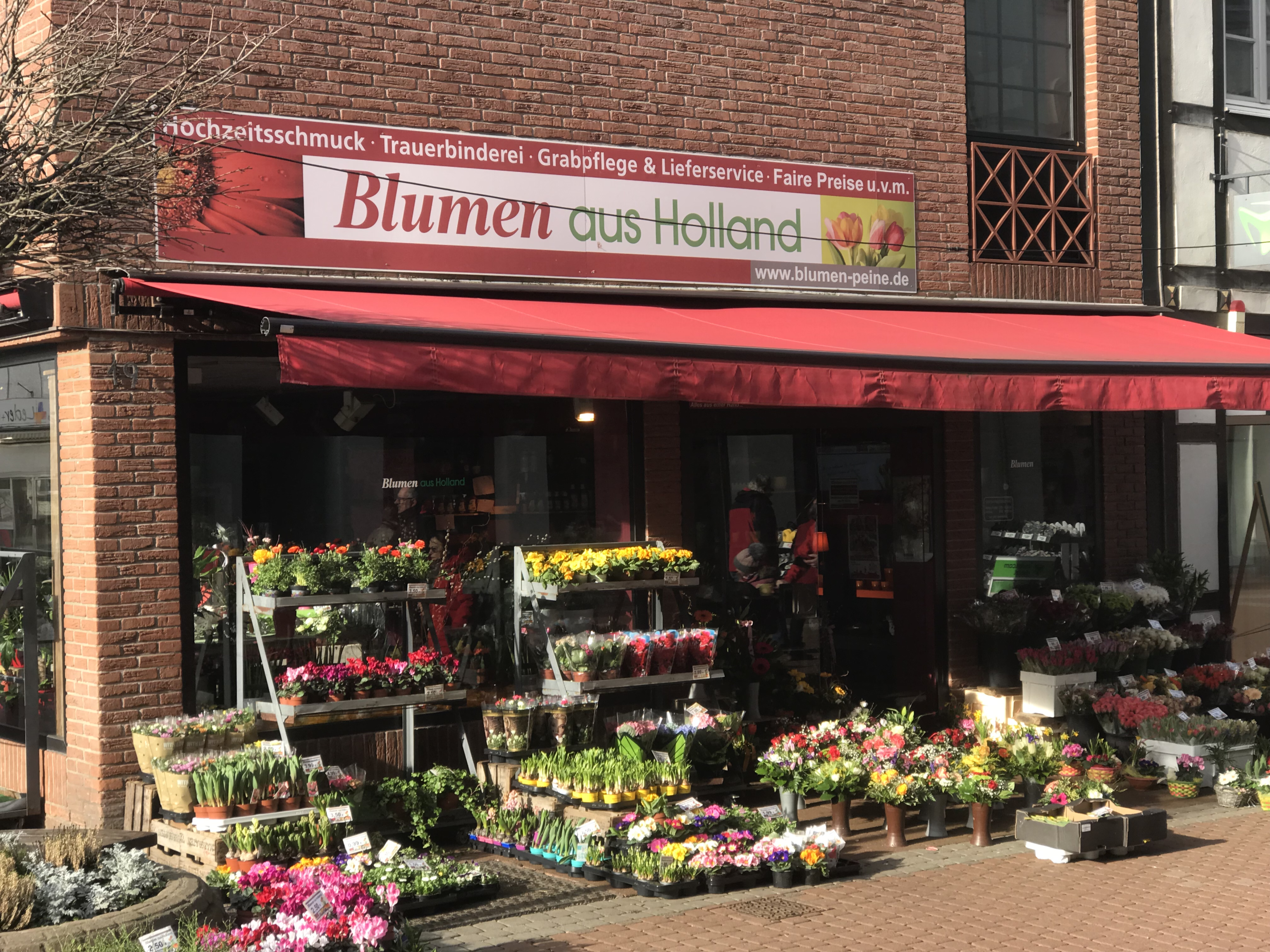 Blumen aus Holland