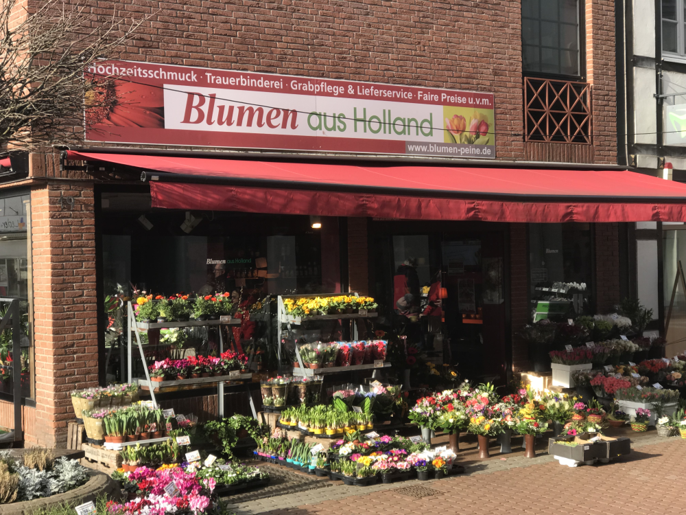 Blumen aus Holland title image